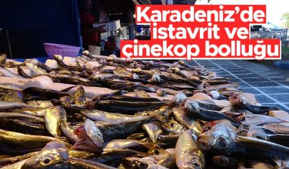 Karadeniz’de istavrit ve çinekop bolluğu - 26.09.2021 balık fiyatları