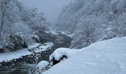 Rize'nin Çamlıhemşin ilçesinde kış güzelliği