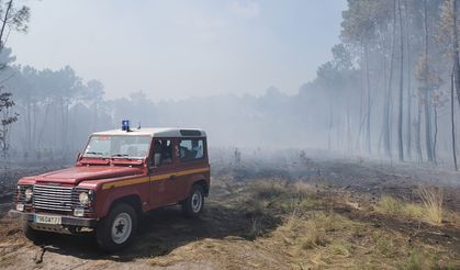 Fransa’daki orman yangınları 6. gününde: 14 bin hektar alan yandı