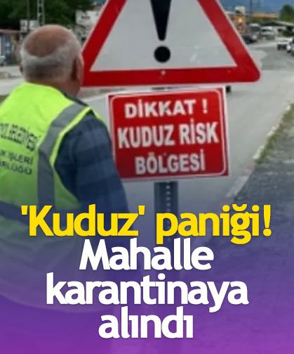 'Kuduz' paniği! Mahalle karantinaya alındı