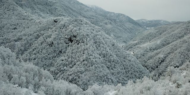Rize'de 283 köy yolu, kardan kapandı