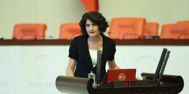HDP’li Semra Güzel hakkındaki fezleke Cumhurbaşkanlığı’na gönderildi