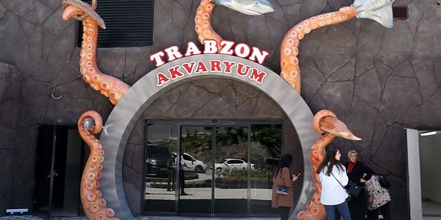 Trabzon'daki dev akvaryumda 'hamsi' detayı