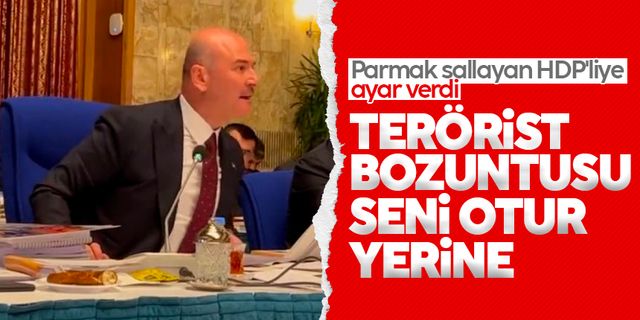 Süleyman Soylu’dan HDP’li Turan’a: Terörist bozuntusu terbiyesiz
