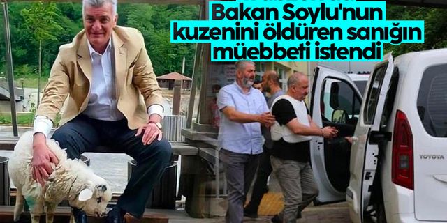Trabzon'da Bakan Soylu'nun kuzenini öldüren sanığa müebbet istemi