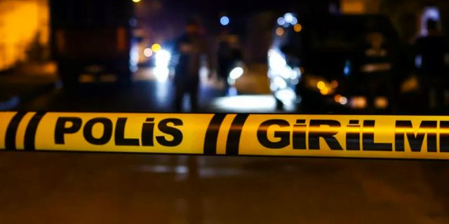 Trabzon'da feci ölüm! Üzerine ağaç devrilen kişi öldü