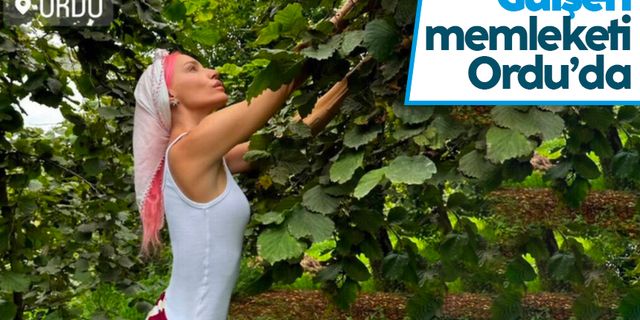 Gülşen, memleketi Ordu'da fındık tarlasına girdi
