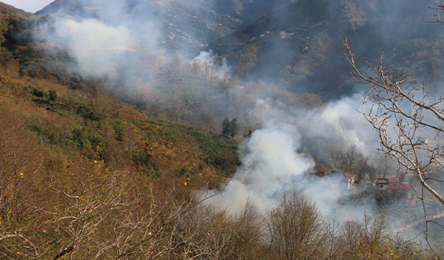 Trabzon'un Sürmene ilçesinde 4 noktada yangın çıktı
