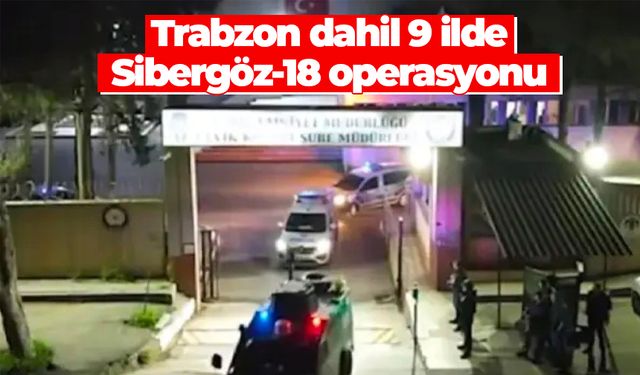 Trabzon dahil 9 ilde "Sibergöz-18" operasyonu: 28 şahıs yakalandı