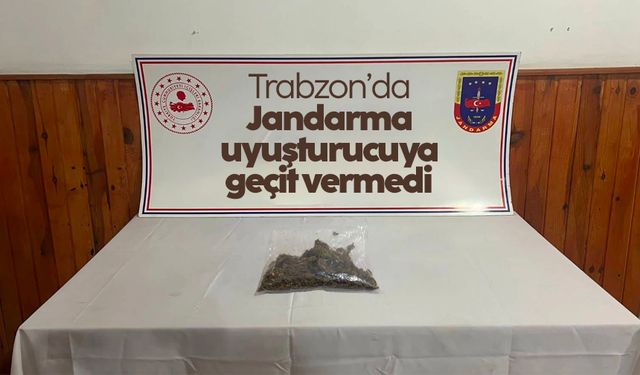 Trabzon’da Jandarma uyuşturucuya geçit vermedi