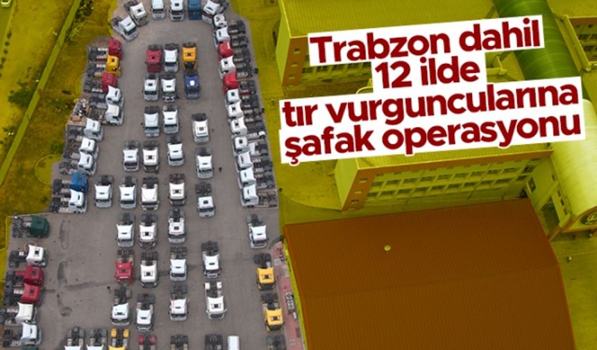 Trabzon dahil 12 ilde tır vurguncularına şafak operasyonu