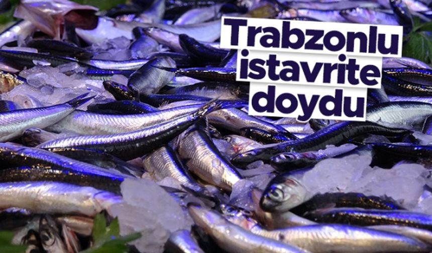 Trabzon'da tezgahta balık fiyatları - 17.09.2021