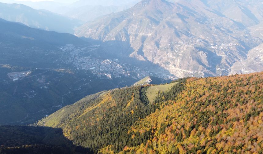 2 bin 80 rakımlı Genya dağında Sonbahar'da renk cümbüşü yaşanıyor