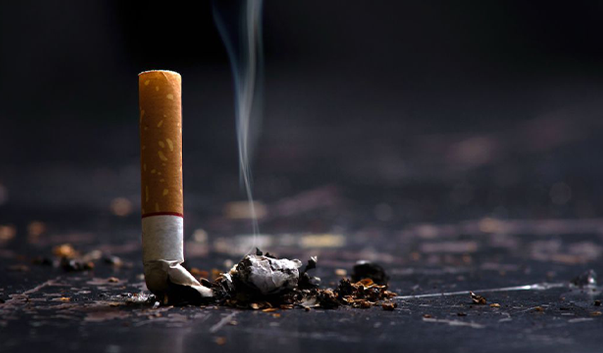 TESK Başkanı Bendevi Palandöken: Sigara ve alkole gelen zamlar vatandaşı kaçak kullanıma yöneltecek