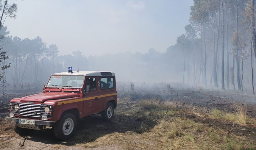 Fransa’daki orman yangınları 6. gününde: 14 bin hektar alan yandı