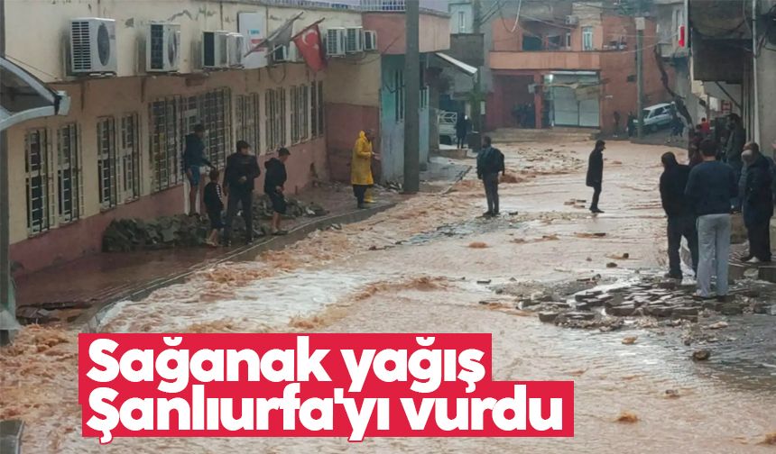 Sağanak yağış Şanlıurfa'yı vurdu: Ev ve iş yerlerini su bastı