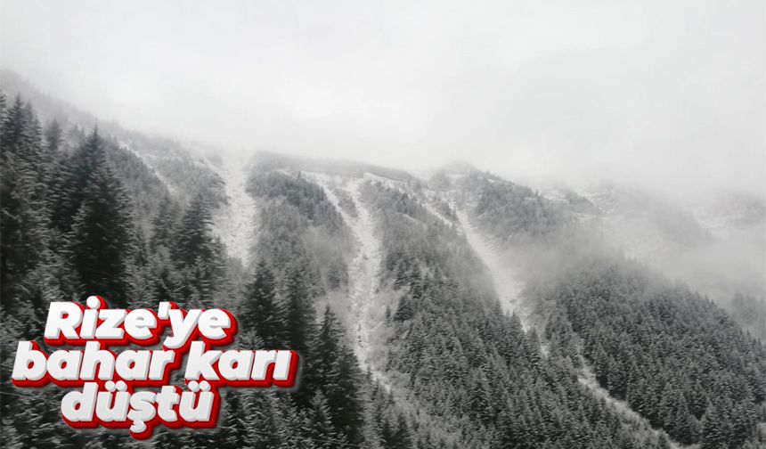 Rize'ye bahar karı düştü