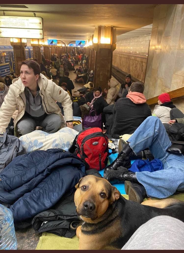 ukrayna halk metroya sığındı