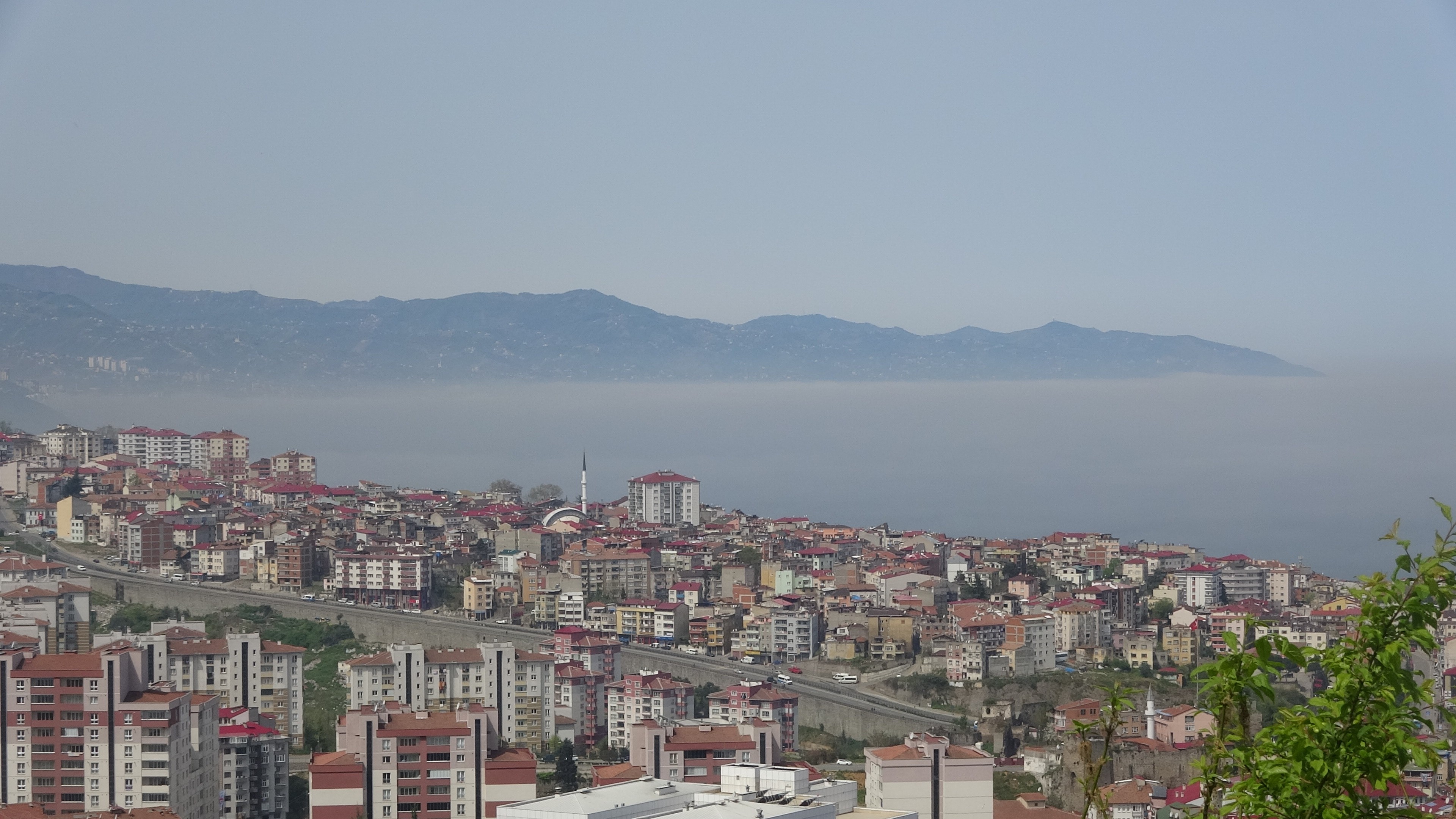 Trabzon'da etkisini gösteren yoğun sis nedeniyle ulaşımda aksamalar yaşanıyor.