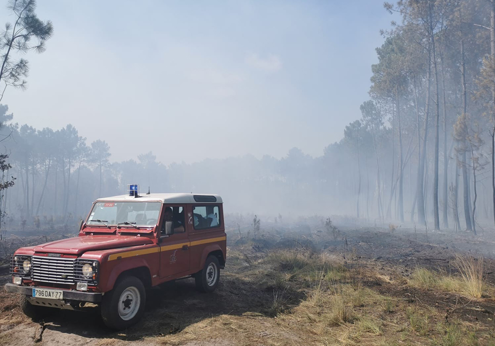 Fransa’nın güneybatısındaki Gironde bölgesinde aşırı sıcakların etkili olmasının ardından başlayan orman yangınları devam ediyor.
