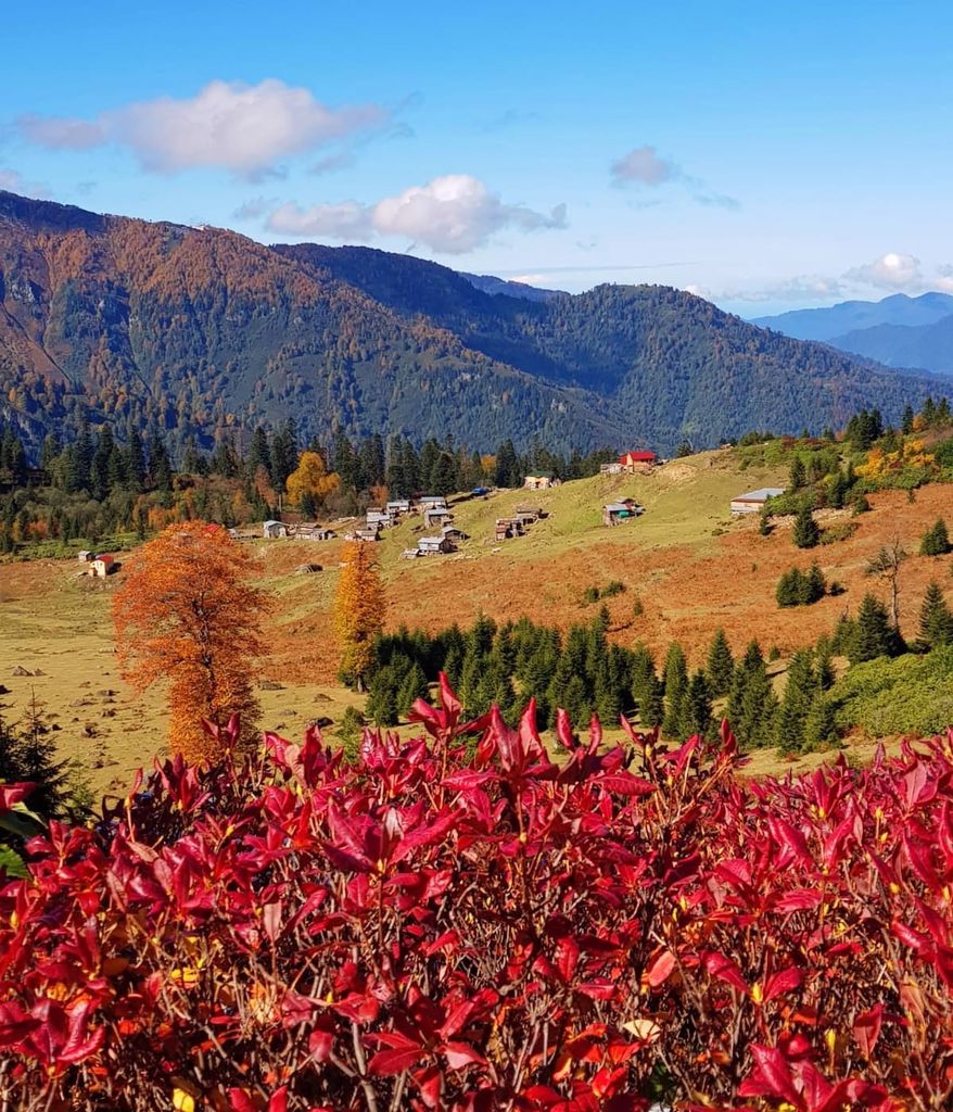 Artvin'in Borçka ilçesi Macahel Vadisi'nde bulunan bin 700 rakımlı Gorgit Yaylası ve Karçal Dağları sonbahar renklerine büründü.
